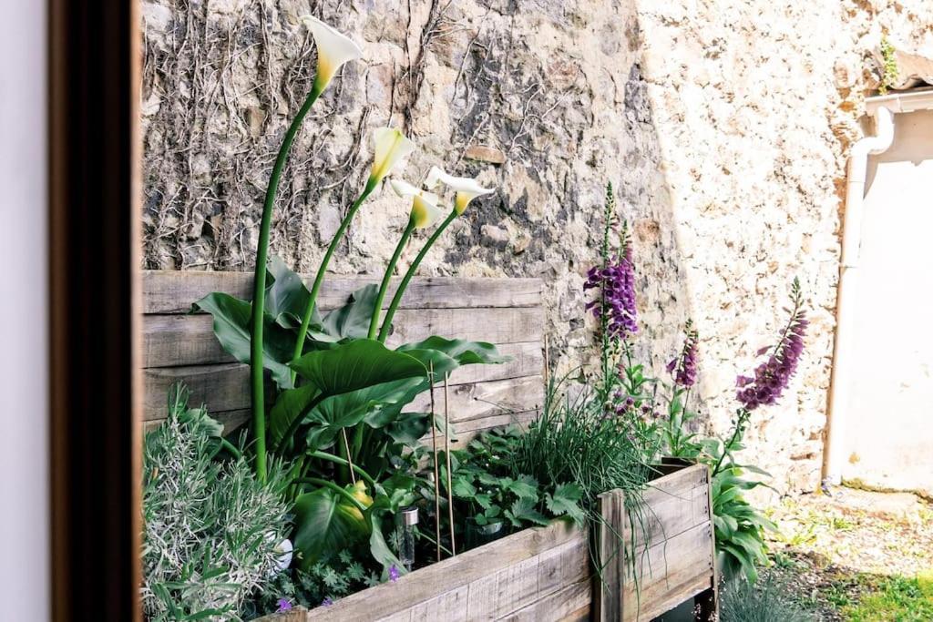 Corto 4 Pers Coeur Vieille Ville Parking Boulogne-sur-Mer Exterior foto